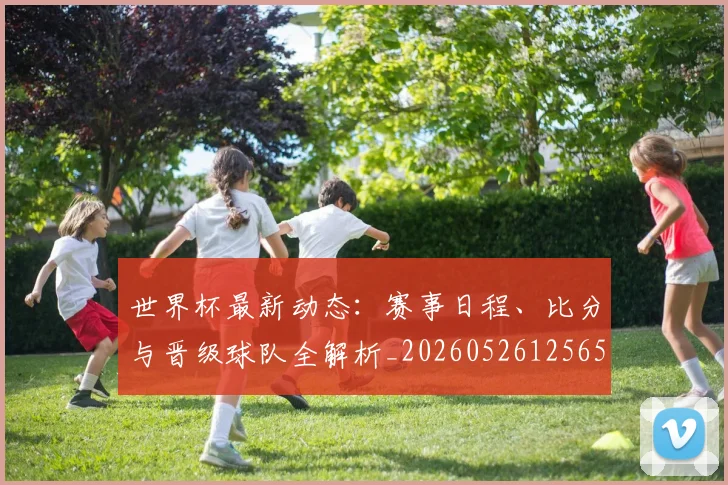 世界杯最新动态：赛事日程、比分与晋级球队全解析_20260526125656